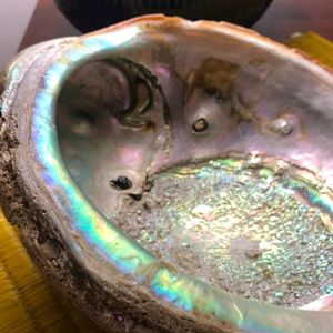LARGE Abalone Shell Opalescent Blue/Green/Pink